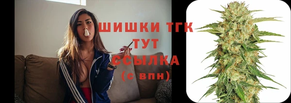 шишки Богородск