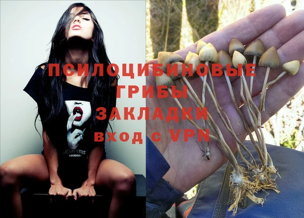 гашиш Богородицк