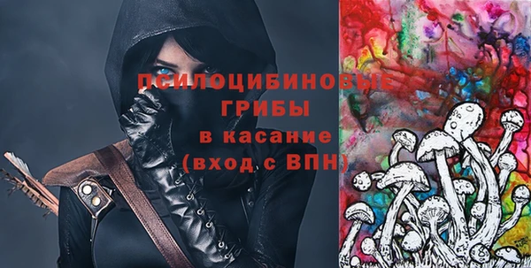 шишки Богородск