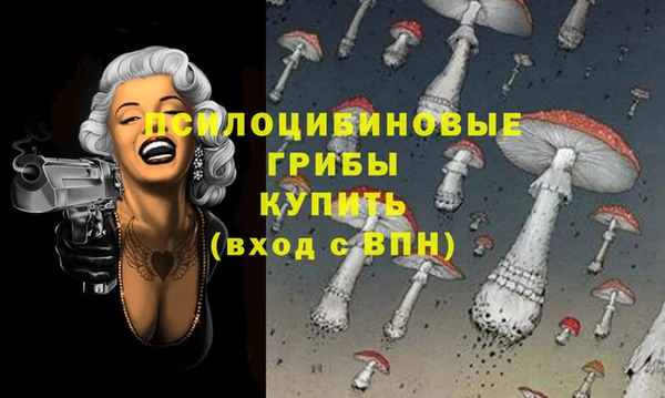 гашиш Богородицк