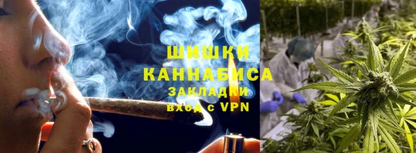 стафф Бородино