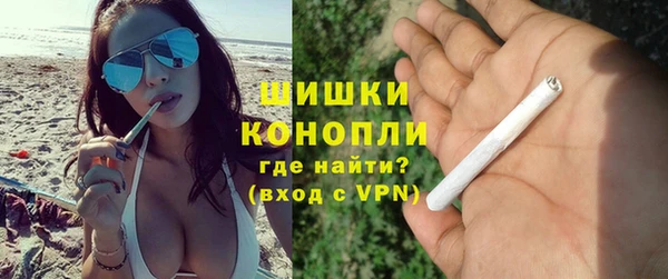 шишки Богородск